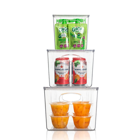 Clear Plastic Container Bin Variety Set w/ Lids