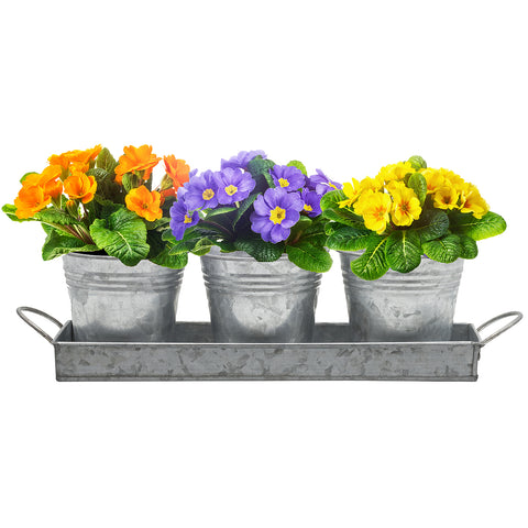 Planter Pot Trio & Tray Set