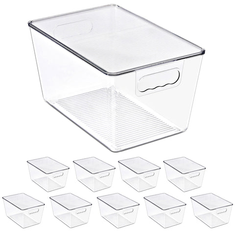 Clear Storage Bins with Lids and Handles