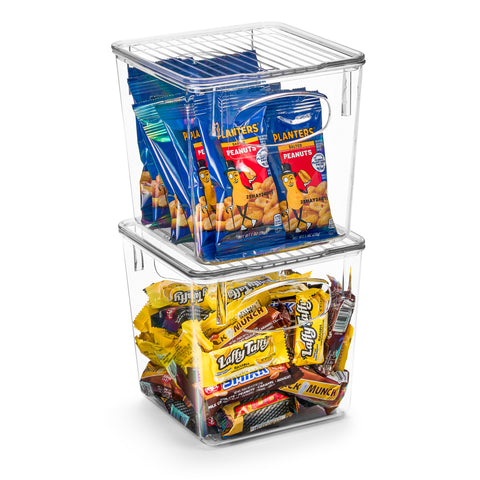 Plastic Container Bins with Lids (4 Pack)