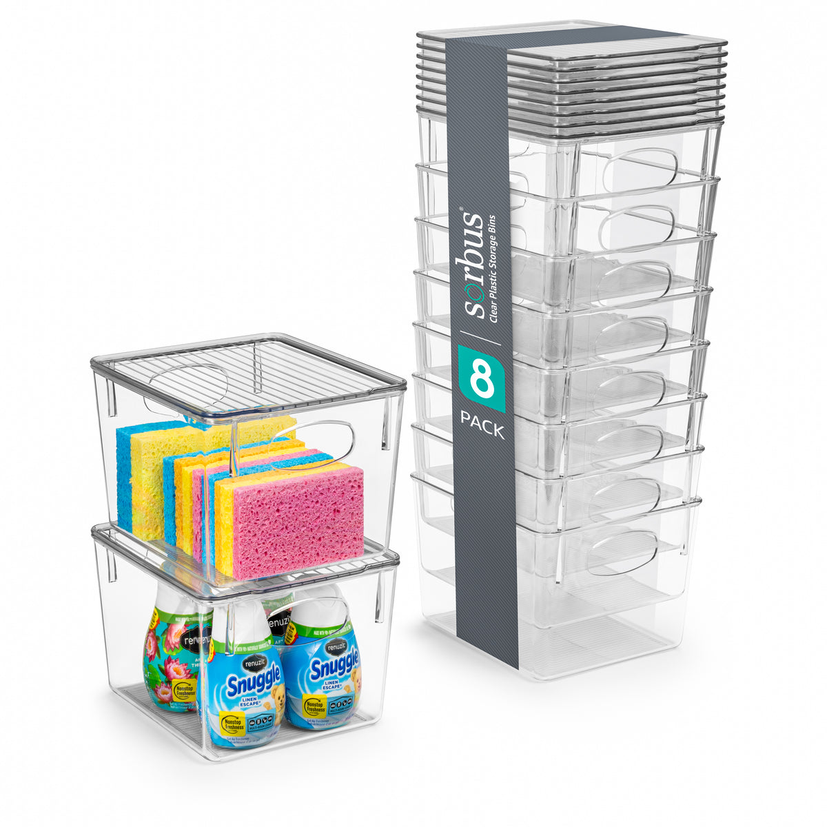 Plastic Bins with Lids Set (Medium)