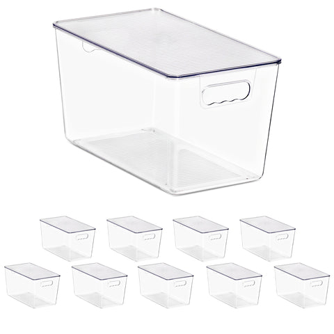 Clear Storage Bins with Lids and Handles