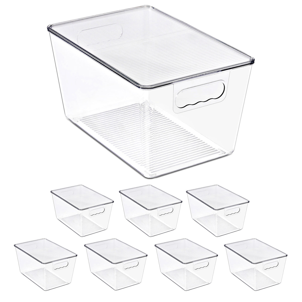 Clear Storage Bins with Lids and Handles