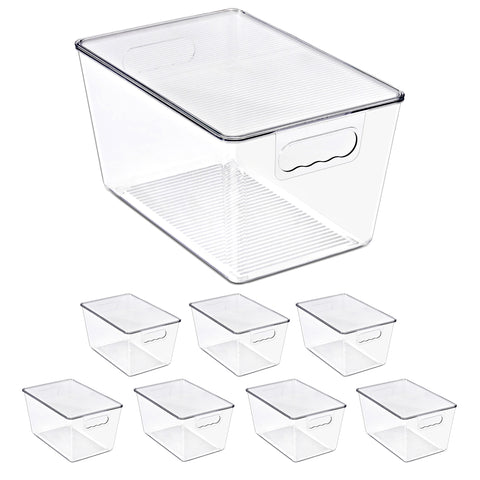 Clear Storage Bins with Lids and Handles