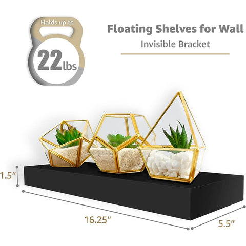Rustic Floating Shelf (Set of 2)