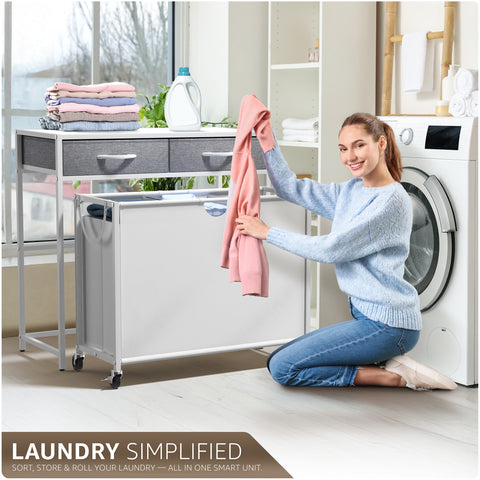 Pull-Out Laundry Hamper with Wheels