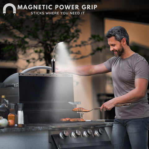 LED Magnetic Base light with gooseneck (Set of 2)