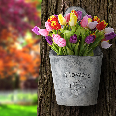 Metal Pocket Planter