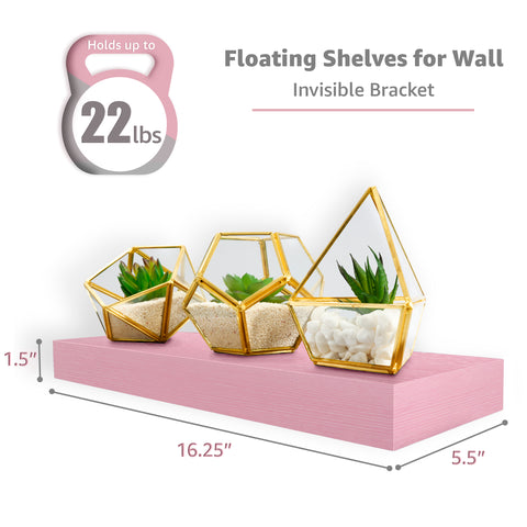 Wall Mounted Floating Shelves (5 Pack)