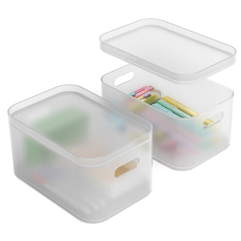 Storage Organizer Bin Frosted Set with Lids (2 Pack)