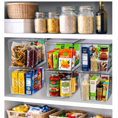 Clear Storage Bins with Lids and Handles