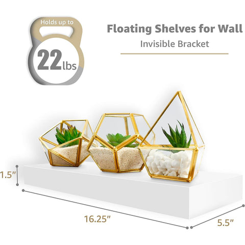 Rustic Floating Shelf (Set of 2)