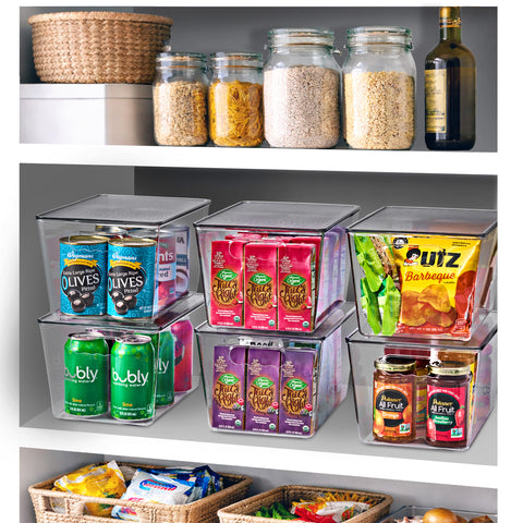 Clear Storage Bins with Lids and Handles