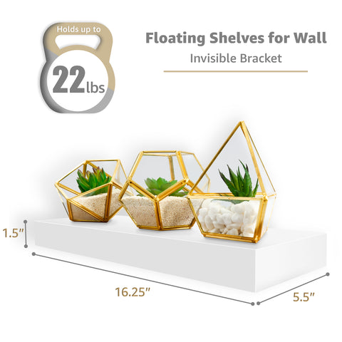 Wall Mounted Floating Shelves (5 Pack)