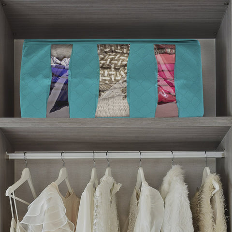 Foldable Storage Bag Organizers (Single)