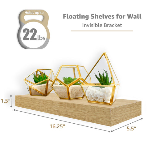 Wall Mounted Floating Shelves (5 Pack)