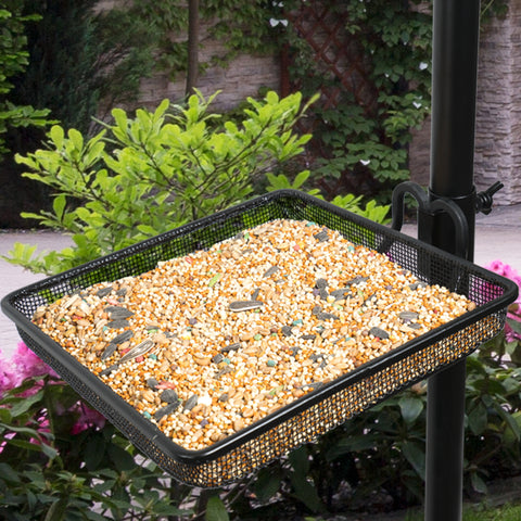 Bird Feeding Bath Station (4 Prongs)