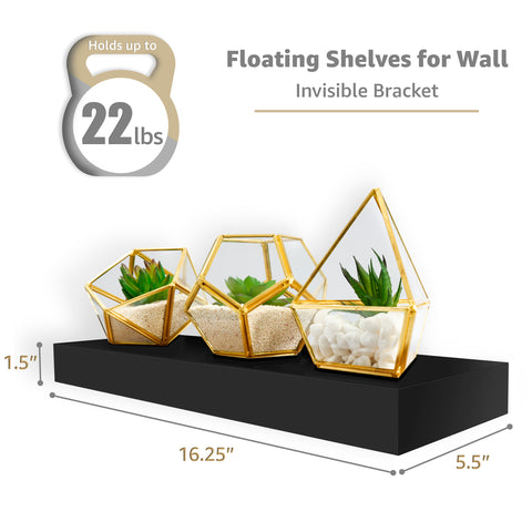 Wall Mounted Floating Shelves (5 Pack)