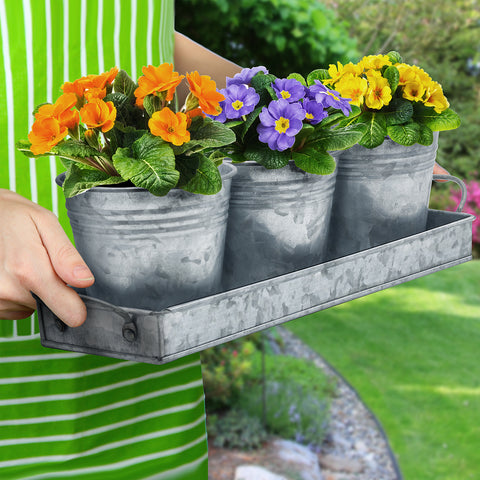 Planter Pot Trio & Tray Set