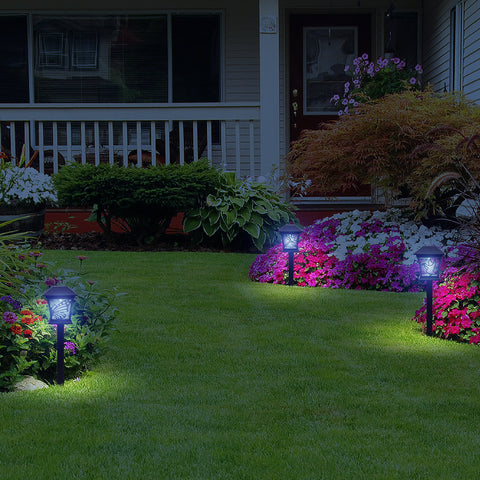 Solar Path Lights (Set of 3)