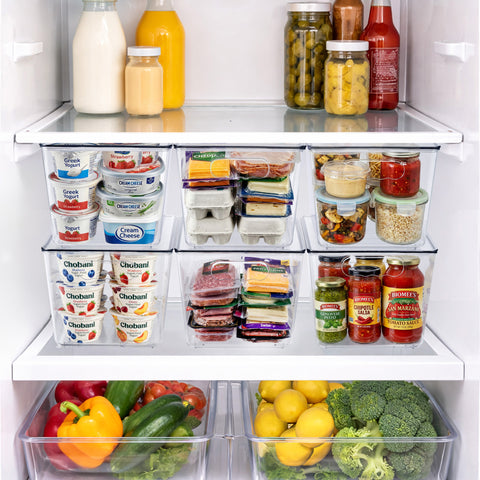 Clear Storage Bins with Lids and Handles