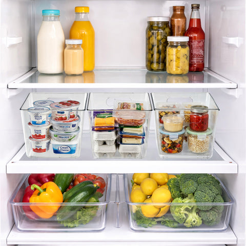 Clear Storage Bins with Handles