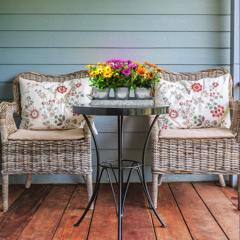 Planter Pot Trio & Tray Set