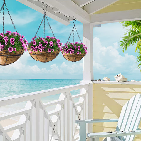 Hanging Planter Baskets w/Coco Liner (4 Pack)