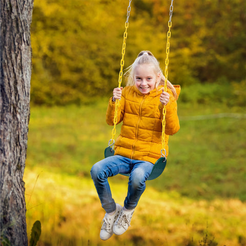 Heavy Duty Belt Swing Set