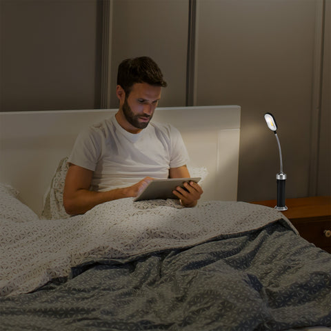 LED Magnetic Base light with gooseneck (Set of 2)