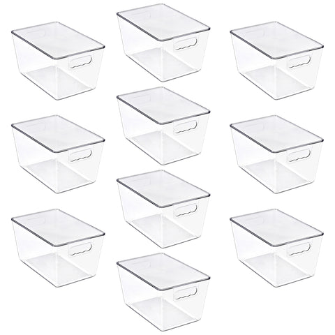 Clear Storage Bins with Lids and Handles