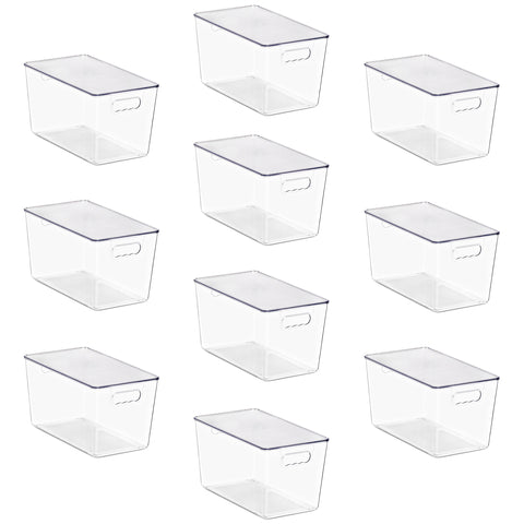 Clear Storage Bins with Lids and Handles