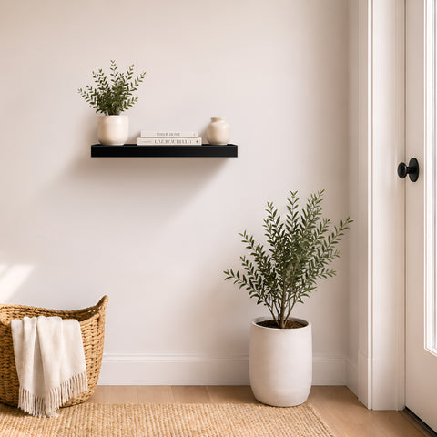 Wall Mounted Floating Shelf (1-Piece)