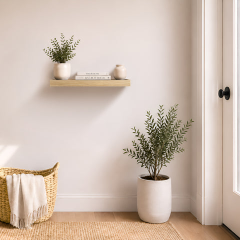 Wall Mounted Floating Shelf (1-Piece)