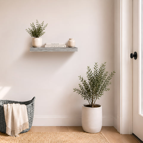 Wall Mounted Floating Shelf (1-Piece)