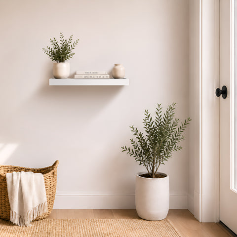 Wall Mounted Floating Shelf (1-Piece)