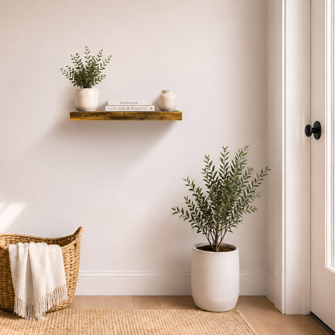 Wall Mounted Floating Shelf (1-Piece)