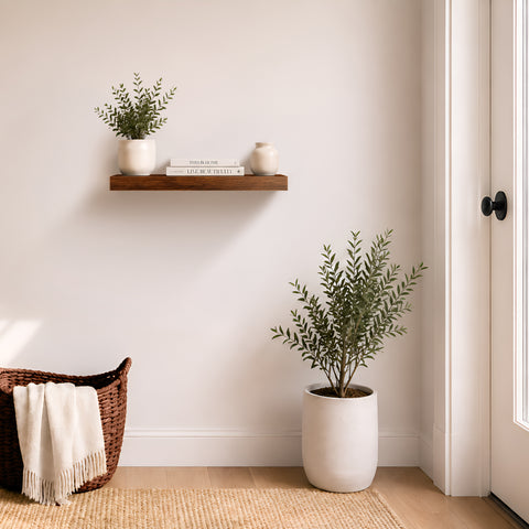 Wall Mounted Floating Shelf (1-Piece)