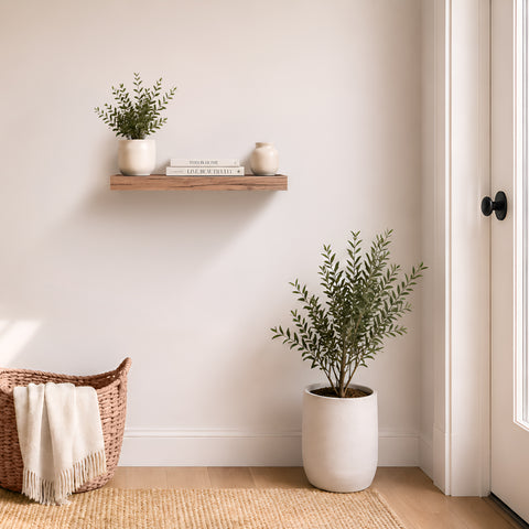 Wall Mounted Floating Shelf (1-Piece)