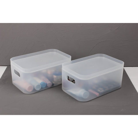 Storage Organizer Bin Frosted Set with Lids (2 Pack)