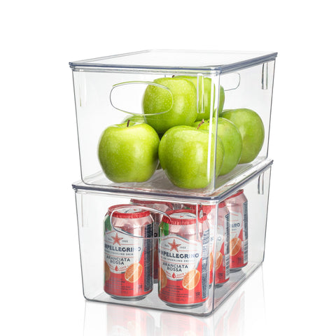 Clear Plastic Container Bins w/ Lids (Large)