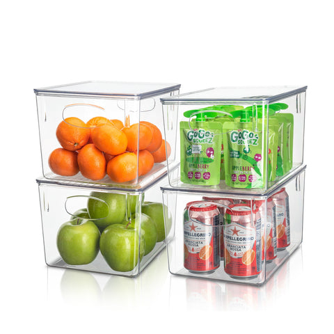 Clear Plastic Container Bins w/ Lids (Large)