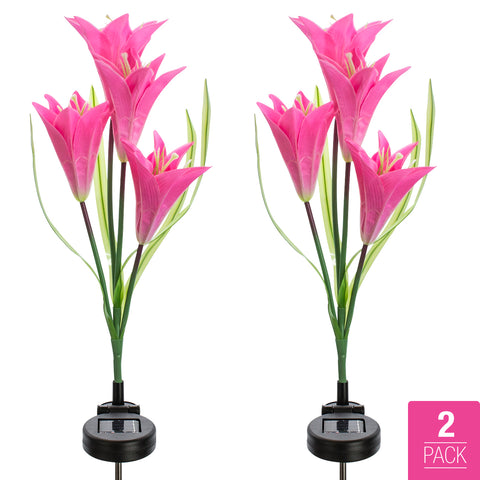 Outdoor Solar Garden Flower Stake Lights (2-Pack) - Sorbus Home