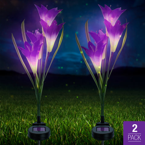 Outdoor Solar Garden Flower Stake Lights (2-Pack) - Sorbus Home