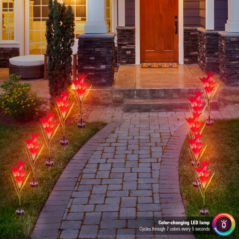 Outdoor Solar Garden Flower Stake Lights (2-Pack) - Sorbus Home