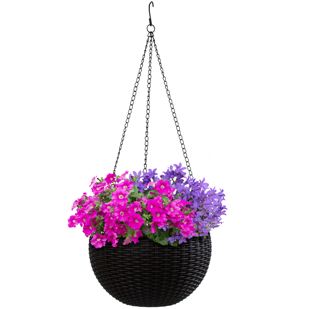 Self-Watering Hanging Planter - Sorbus Home